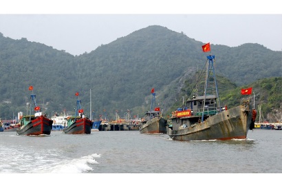 Khai thác vụ cá Bắc 2018-2019: Sản lượng cao nhất từ trước đến nay