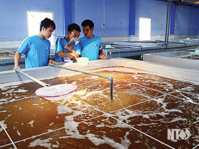 Ninh Thuận: Nhìn lại chặng đường 27 năm phát triển nuôi trồng thủy sản