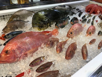 EU chuẩn bị giám sát thẻ vàng IUU, nhiều địa phương vẫn còn lơ là