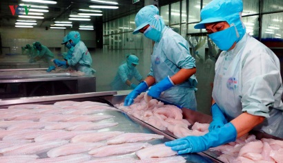 Cá tra Việt Nam bị áp thuế chống bán phá giá tại Mỹ