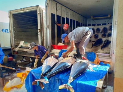 Phú Yên xử lý nghiêm các trường hợp đánh bắt bất hợp pháp