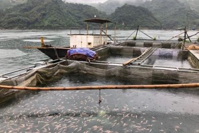 Hỗ trợ Bạc Liêu phòng, chống dịch bệnh thủy sản