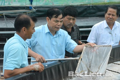 Bạc Liêu: Nghiệm thu kết quả thực hiện dự án “Xây dựng mô hình nuôi tôm thẻ chân trắng”