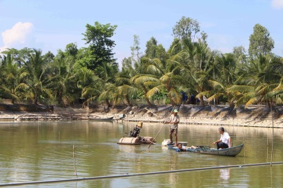 Thị trường cá tra hết ‘nóng’ rồi ‘lạnh’