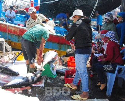 Bình Định: Sản lượng thủy sản khai thác tăng 5%