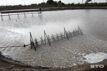 Giai đoạn chuyển từ mùa nắng sang mùa mưa: Điều kiện môi trường có nhiều biến động gây bất lợi cho tôm nuôi