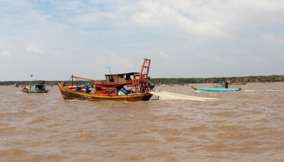 Bến Tre: Thừa Đức khai thác sò huyết giống đợt 1/2019