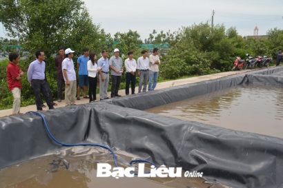 Bạc Liêu: Sở TN&MT: Bàn giao hệ thống xử lý chất thải nuôi tôm siêu thâm canh