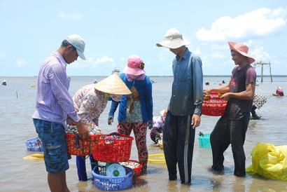 Khai thác hiệu quả kinh tế vùng ven biển