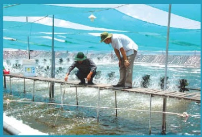 Ứng dụng công nghệ cao trong nuôi trồng thủy sản