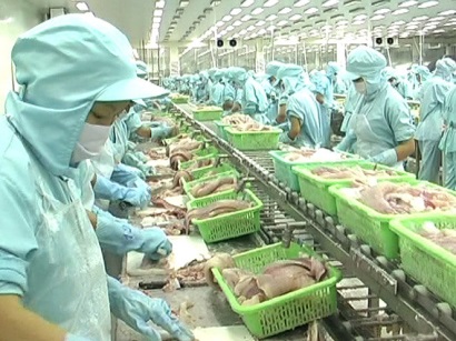 CPTPP- cơ hội lớn cho cá tra