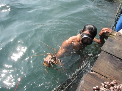 Ninh Thuận ưu tiên nuôi biển công nghiệp xa bờ