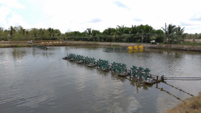 Bến Tre: Sẽ đầu tư trên 2.500 tỷ đồng phát triển đối tượng thủy sản nuôi chủ lực