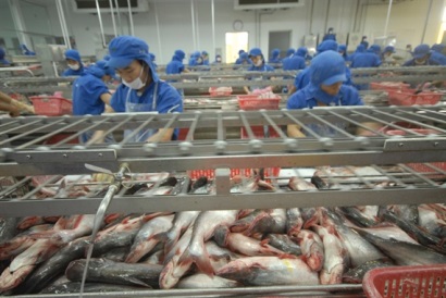 Phải ghi đúng tên thương mại tiếng Trung của cá tra xuất sang Trung Quốc