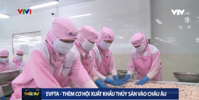 EVFTA mở cơ hội xuất khẩu thủy sản vào châu Âu