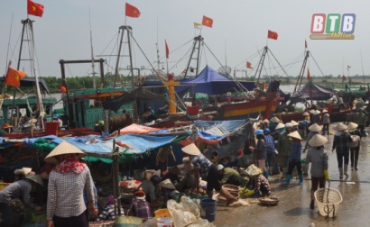 Thái Thụy: Sản lượng khai thác thủy sản 6 tháng đầu năm tăng 6,5%
