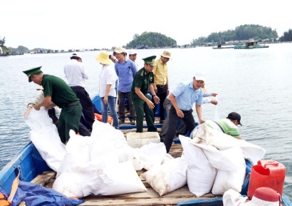 Quảng Ngãi: Thả gần 2 triệu con giống phát triển nguồn lợi thủy sản