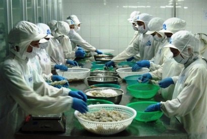 Giá thủy sản giảm mạnh: Ngư dân khó chồng thêm khó