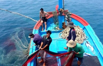 Ngư dân Việt cần làm gì để EU gỡ 