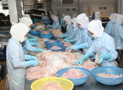 Thủy sản Bến Tre (ABT) tạm ứng cổ tức tỷ lệ 20% bằng tiền mặt