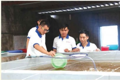 Kinh nghiệm chọn tôm giống chất lượng