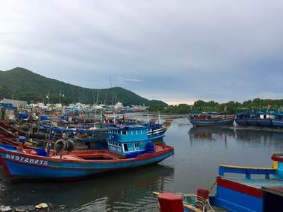 Bà Rịa - Vũng Tàu: Khảo sát phát triển thủy sản