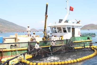 Khánh Hòa: Tiềm năng phát triển nuôi biển