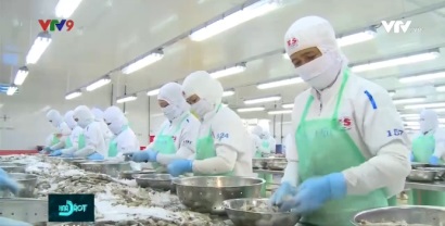 Ngành thủy sản quyết liệt cải tiến chất lượng, nâng cao giá trị xuất khẩu