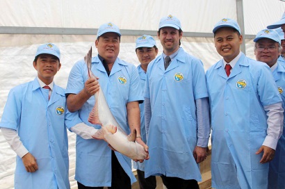 Giá cá tra nguyên liệu có chiều hướng tăng trở lại