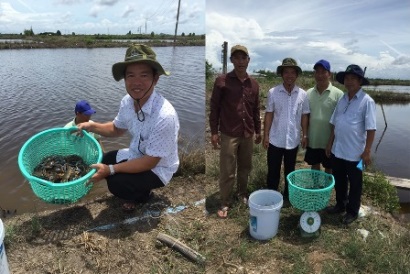 Kiên Giang: Nghiên cứu thử nghiệm ương giống và nuôi ghẹ xanh thương phẩm