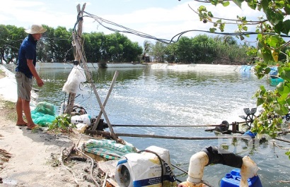 Phòng ngừa dịch bệnh tôm nuôi vụ mới: Cẩn trọng để ứng phó với thời tiết bất thường
