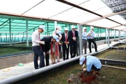 Tôm giống Việt - Úc khẳng định vị thế dẫn đầu bằng chất lượng và công nghệ