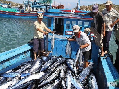 Giải pháp “cứu nguy” cho ngành nông nghiệp trước nhiều thách thức lớn