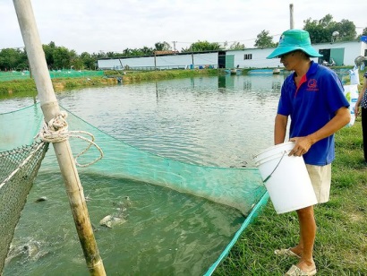 Tập trung sản xuất giống thủy sản