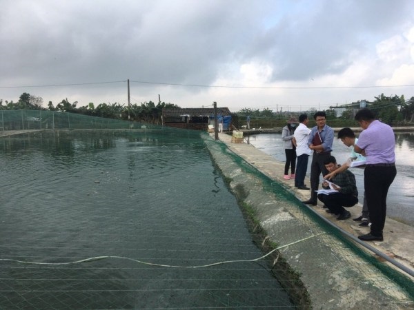 Tổng sản lượng nuôi trồng thủy sản đạt 43.210,5 tấn