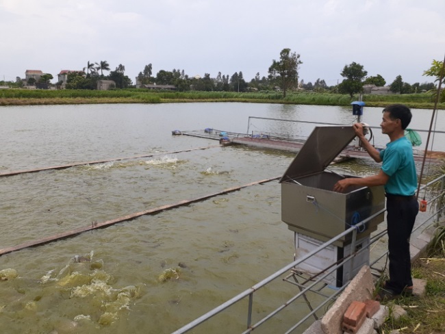 Bắc Ninh: Phát triển ngành thủy sản theo hướng hiện đại, bền vững