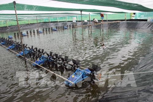 Quảng Ninh thành lập khu nông nghiệp ứng dụng công nghệ cao về thủy sản