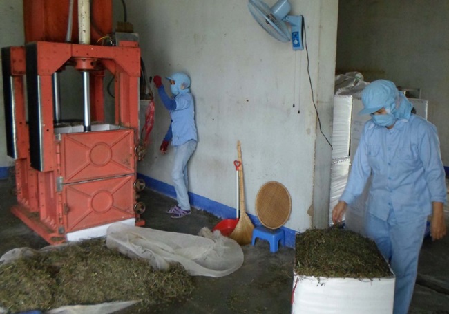 Ngành nông, lâm, thủy sản: Muốn phát triển phải đầu tư công nghiệp chế biến