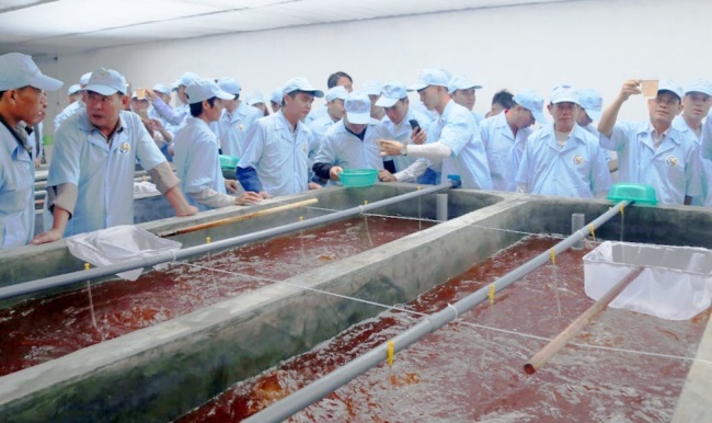 Đầu tư 830 tỷ đồng lập khu thủy sản ứng dụng công nghệ cao