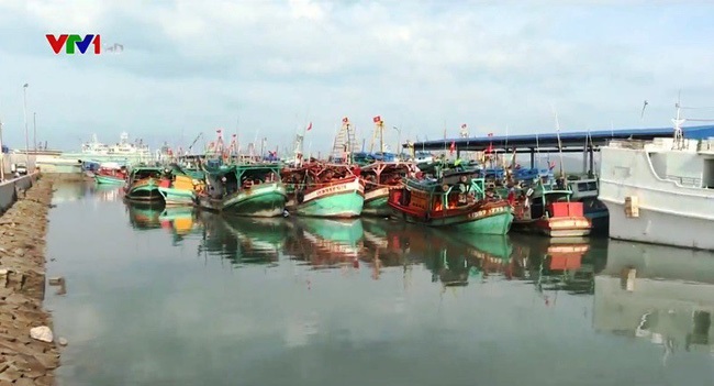 Bà Rịa - Vũng Tàu thực hiện chống khai thác thủy sản trái phép