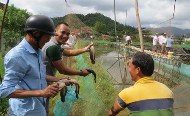 Nuôi trồng thủy hải sản: Sử dụng thức ăn công nghiệp, giảm ô nhiễm môi trường