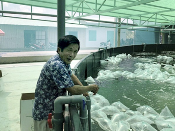 Triển vọng từ mô hình nuôi tôm mới