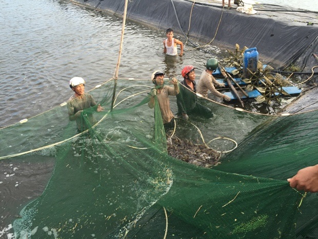 Sản lượng khai thác thủy sản đạt 72.443,4 tấn