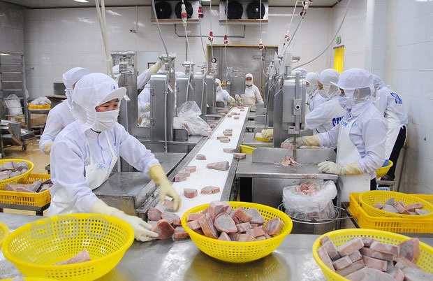 Tháo gỡ ‘thẻ vàng’ EC: Chuyển biến tích cực