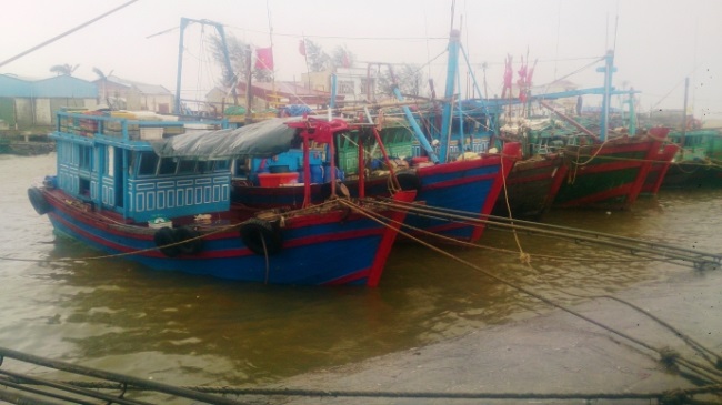 Chi cục Thủy sản: Cấp 57 Giấy chứng nhận đăng ký tàu cá