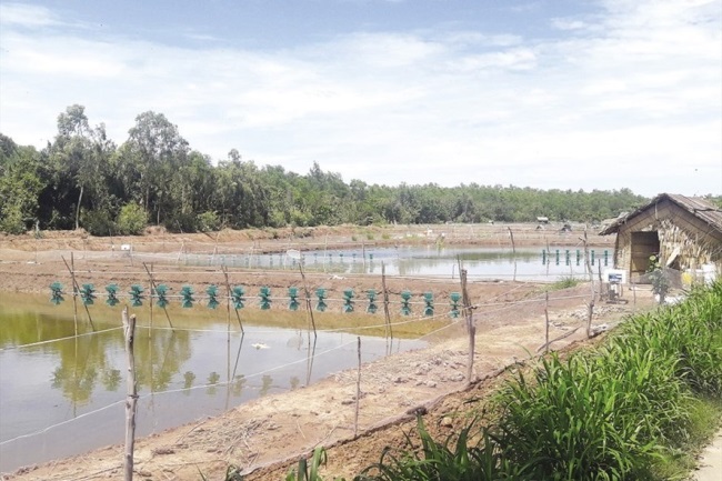 Phía sau câu chuyện chuyển đổi nông nghiệp