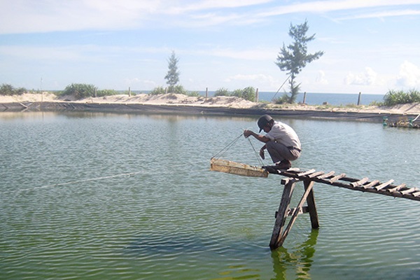 Quảng Ninh (Quảng Bình): Đẩy mạnh khai thác và nuôi trồng thủy sản