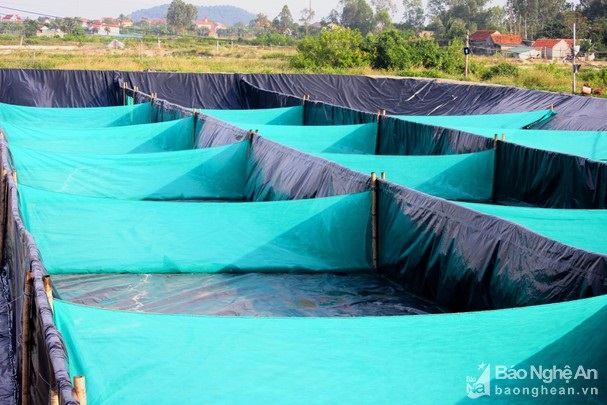 Ứng dụng công nghệ 