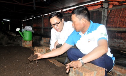 Ninh Bình: Nuôi giun quế đem lại nguồn lợi kép trong nuôi tôm