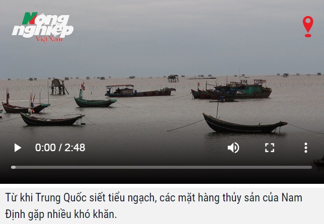 Thủy sản Nam Định xuất khẩu sang Trung Quốc gặp khó